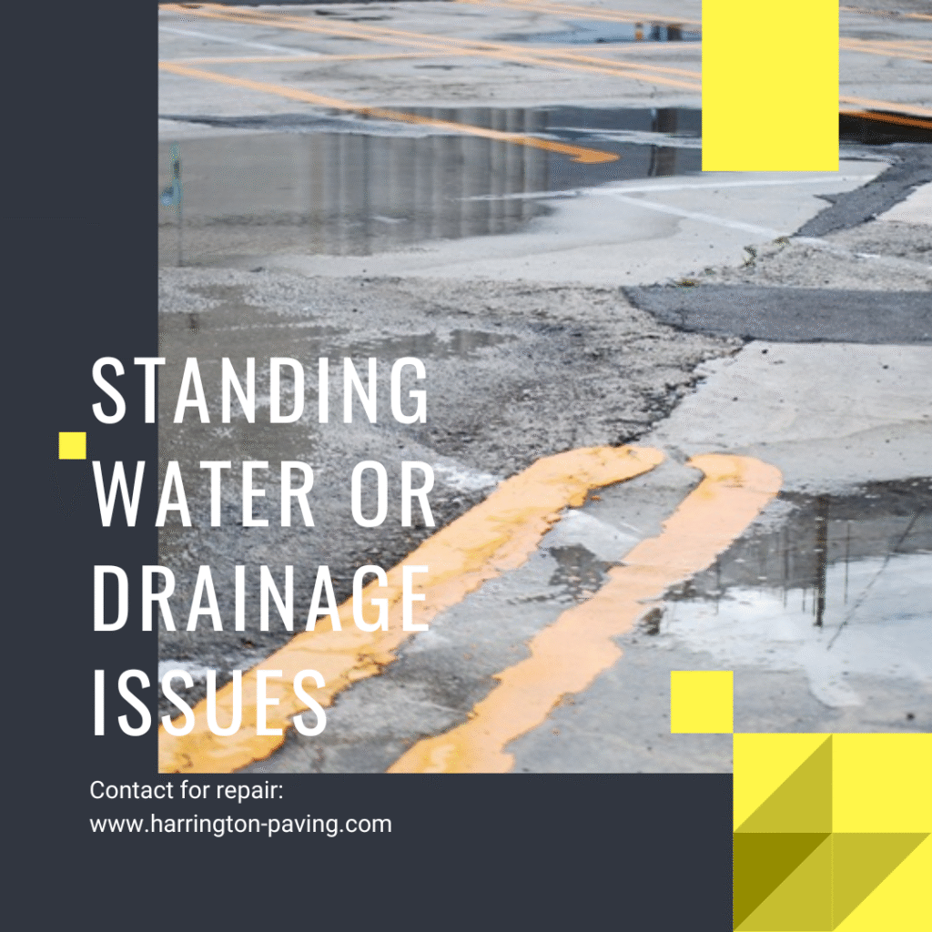 Standing water in a commercial parking lot caused by poor drainage — a warning sign of pavement damage and structural issues